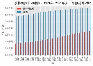 沙特阿拉伯球员因伤退出比赛，挽回不利局面的简单介绍